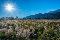 Landscape in Sfakia